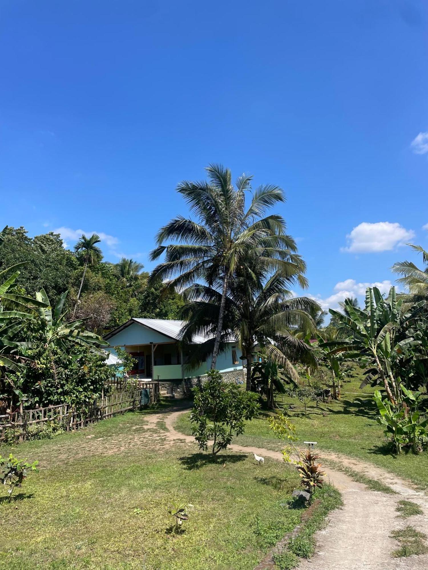 Homestay Garden